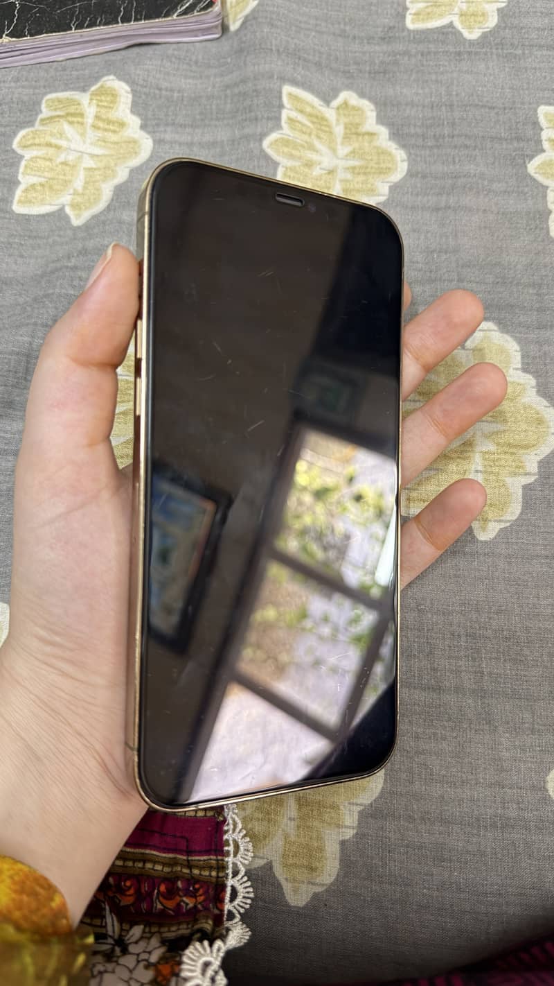 Apple iPhone 12 Pro Max 3