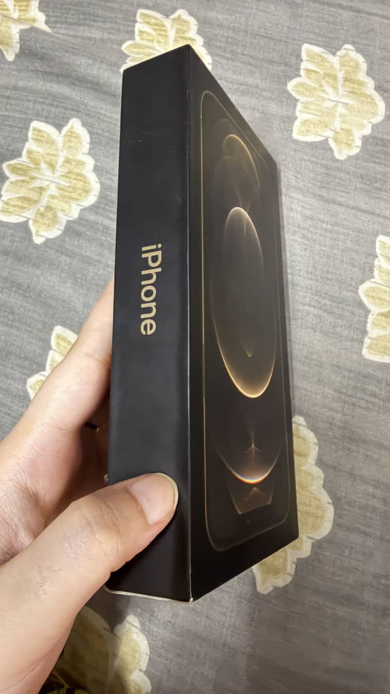 Apple iPhone 12 Pro Max 9