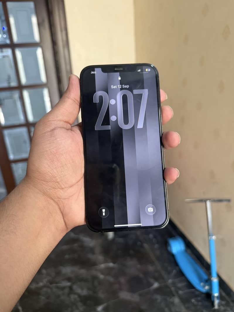 Apple iPhone 12 Pro Max 2