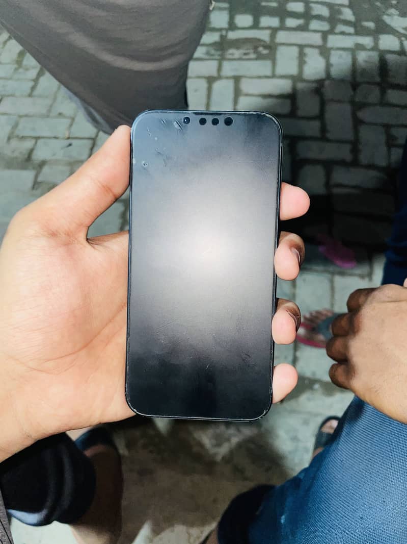 Apple iPhone 13 0