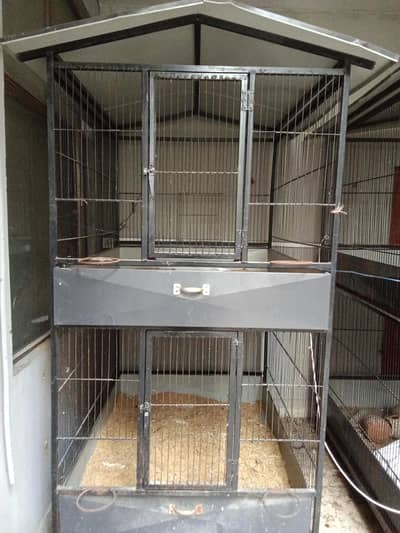 Cages | Pinjra | Iron Cage | Steel Cage | hen Cage for sale