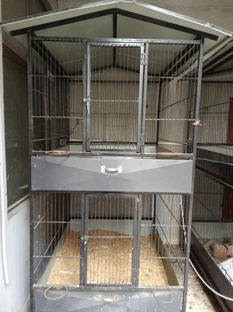 Cages | Pinjra | Iron Cage | Steel Cage | hen Cage for sale