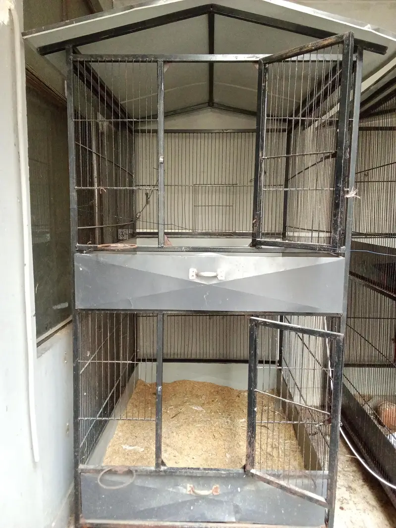 Cages | Pinjra | Iron Cage | Steel Cage | hen Cage for sale — photo 2