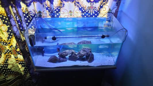 Aquarium for sale 3 fit