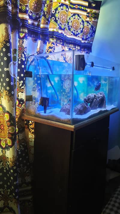 Aquarium for sale 3 fit