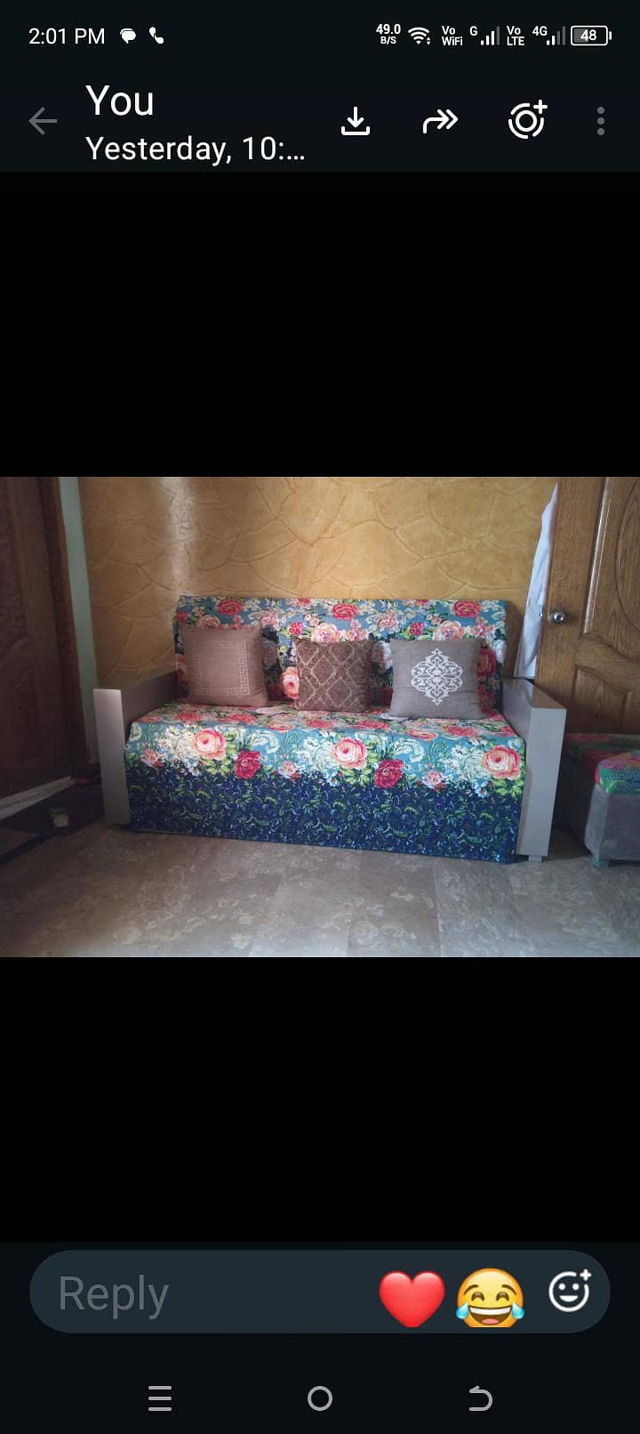 sofa cum bed 0