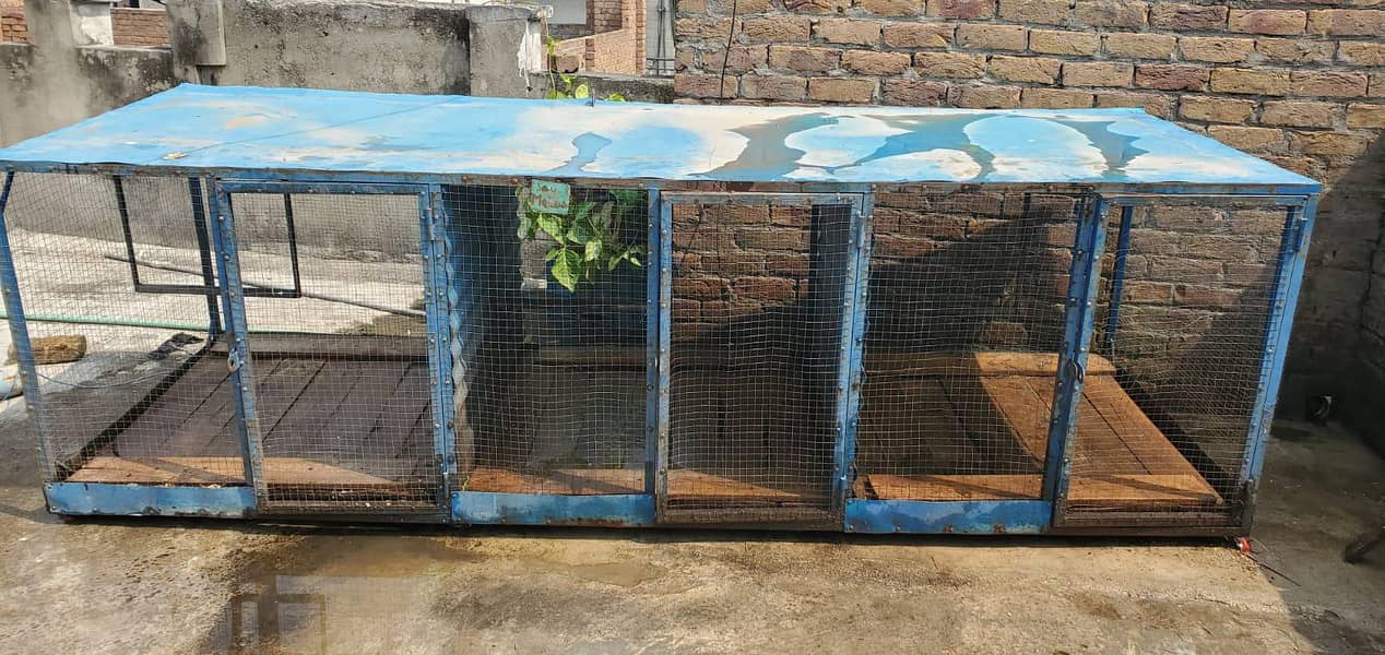 hen cage 5