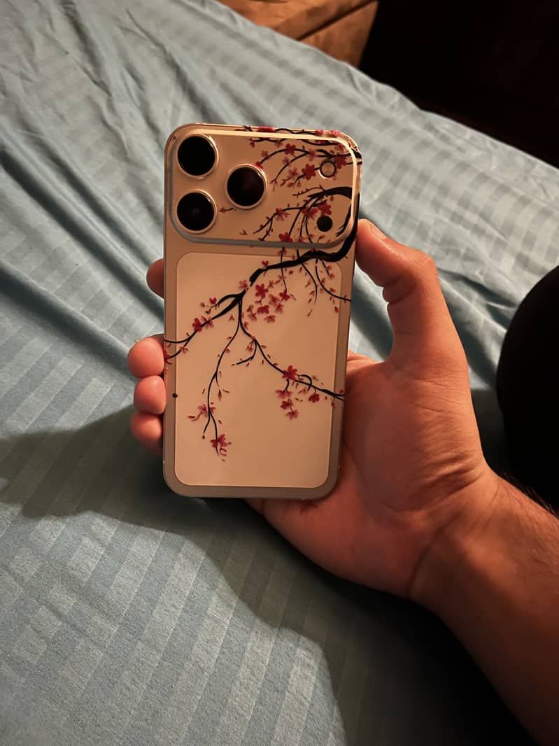 Apple iPhone 17 Pro Max 0