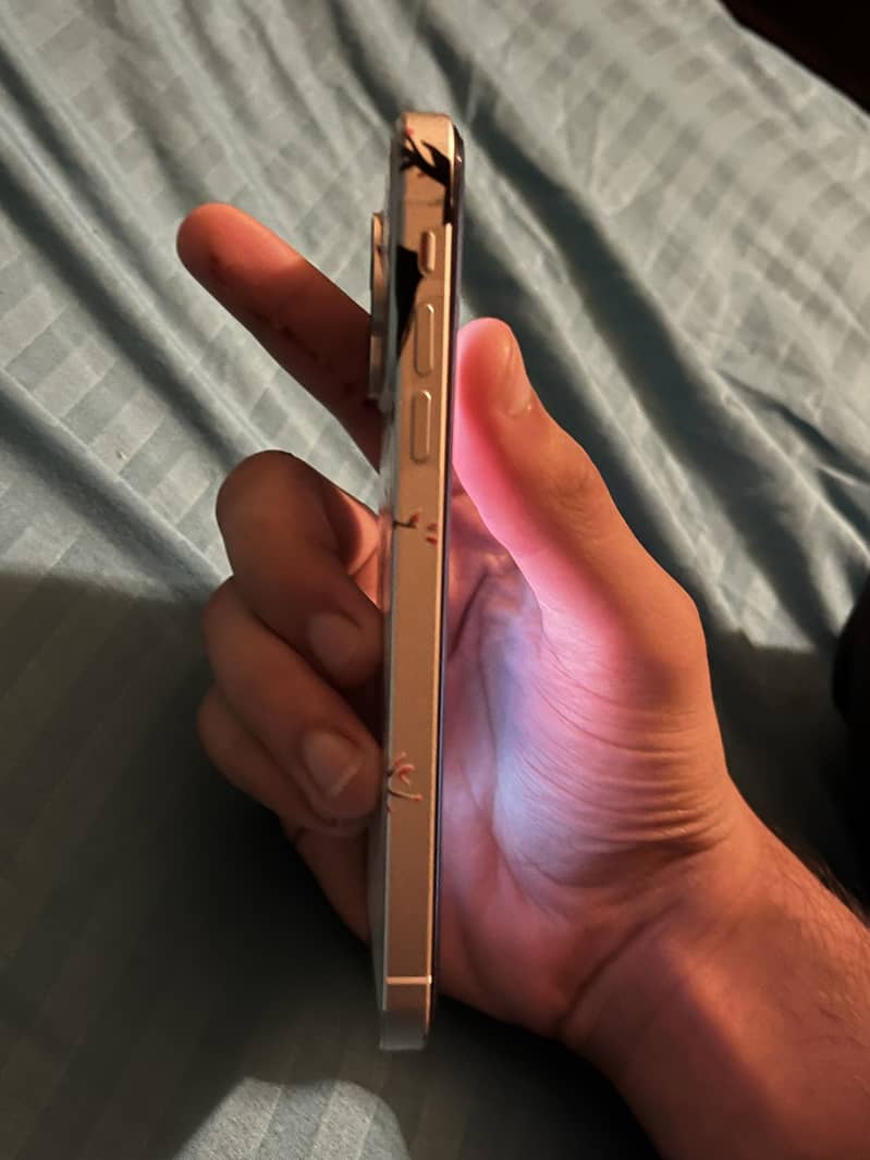 Apple iPhone 17 Pro Max 3