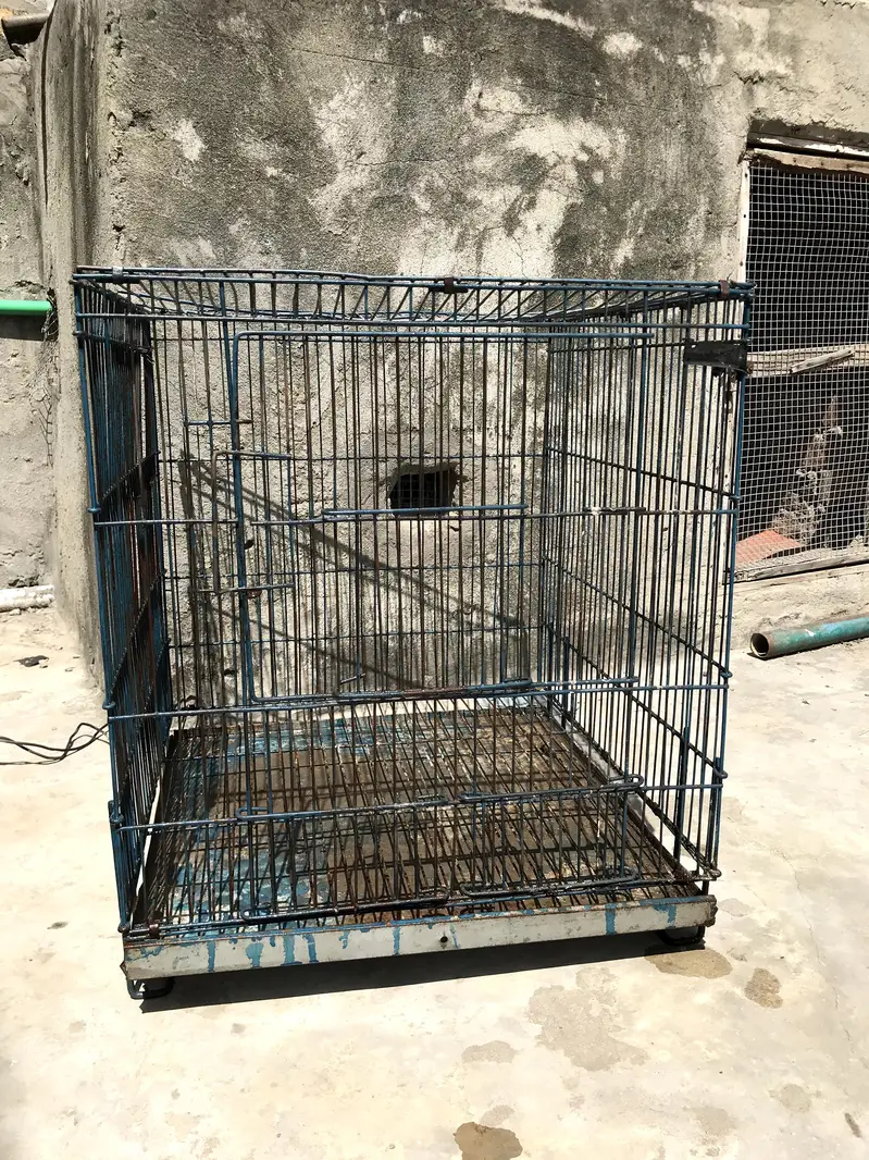 Parrot/Bird Cage – Good Condition | Food and water boxes — photo 2