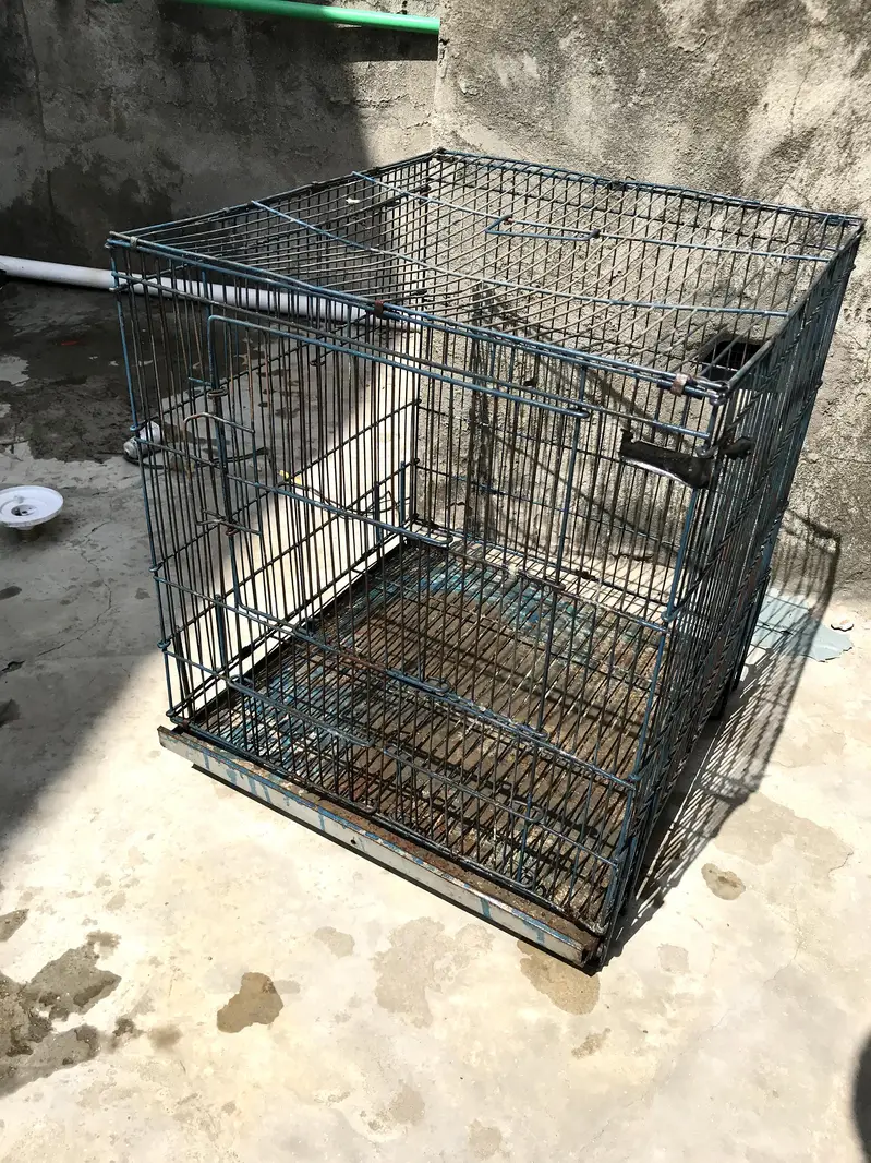 Parrot/Bird Cage – Good Condition | Food and water boxes — photo 3