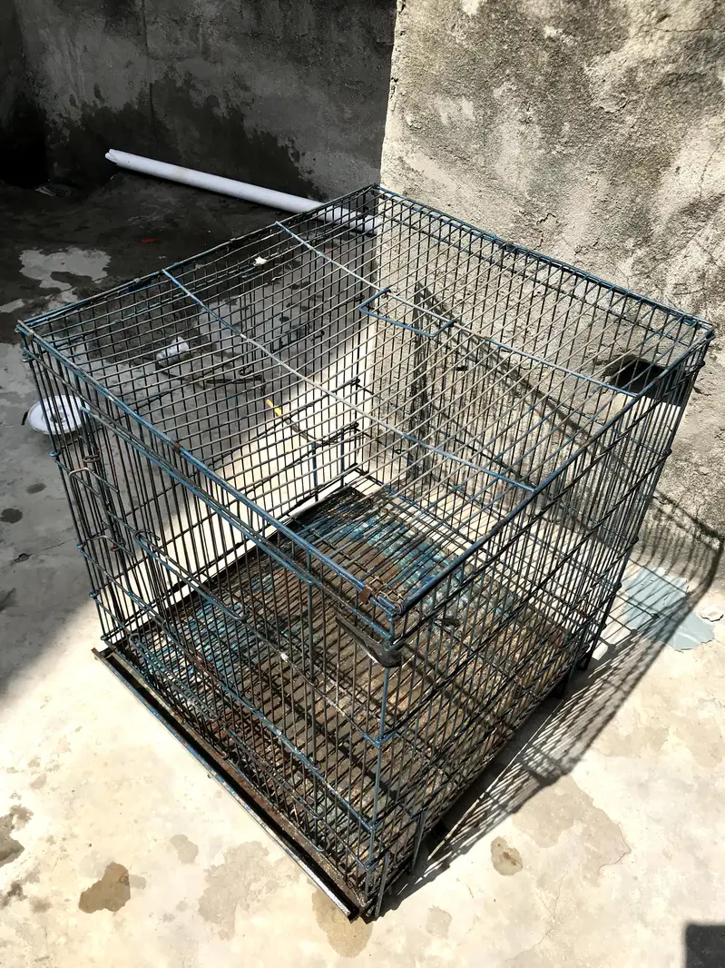 Parrot/Bird Cage – Good Condition | Food and water boxes — photo 4