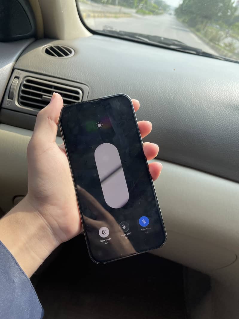 Apple iPhone 13 Pro Max 1