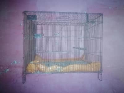 Iron cage