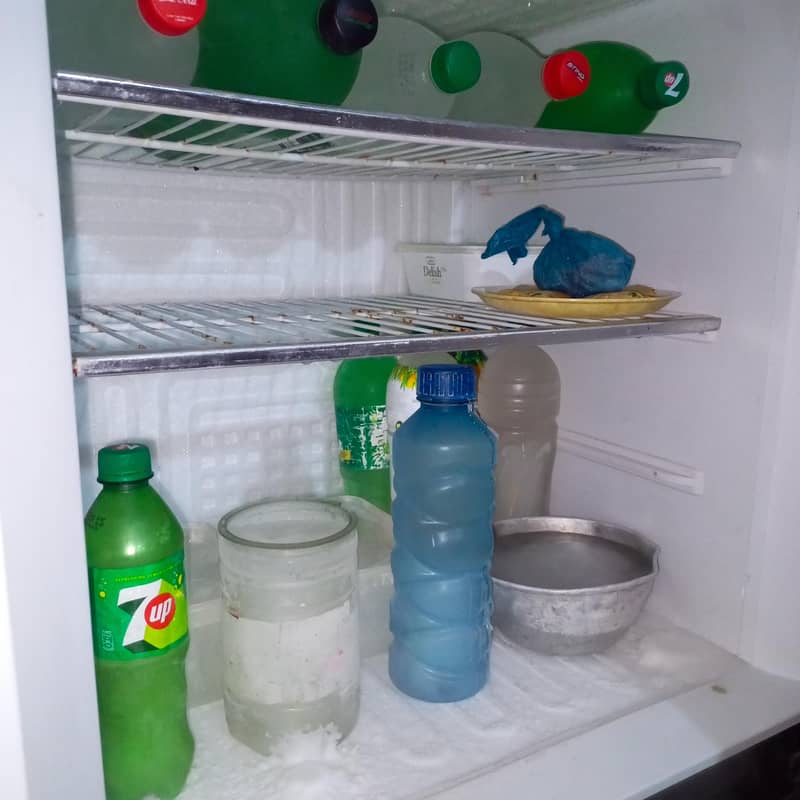 PEL Jumbo Fridge 2