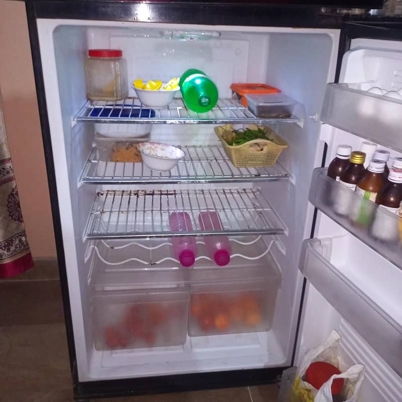PEL Jumbo Fridge 4