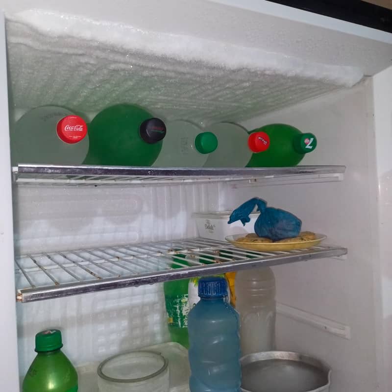 PEL Jumbo Fridge 8