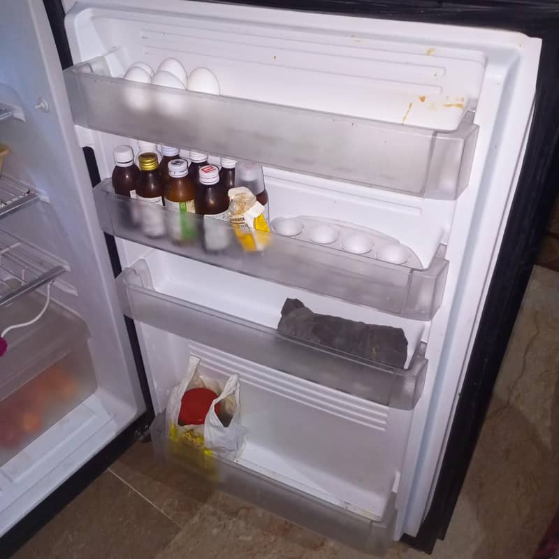 PEL Jumbo Fridge 9