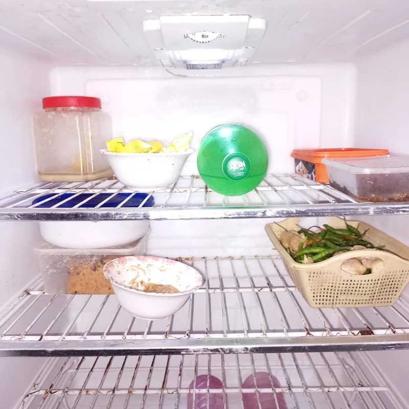 PEL Jumbo Fridge 11