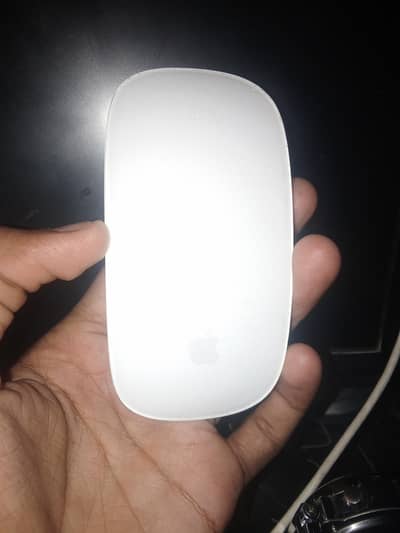 Apple Mouse