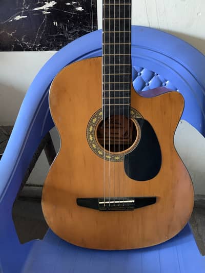 Professional  guitar