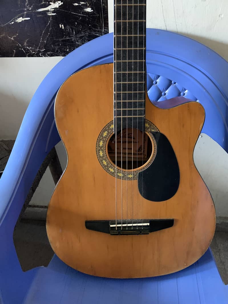 Professional  guitar 0