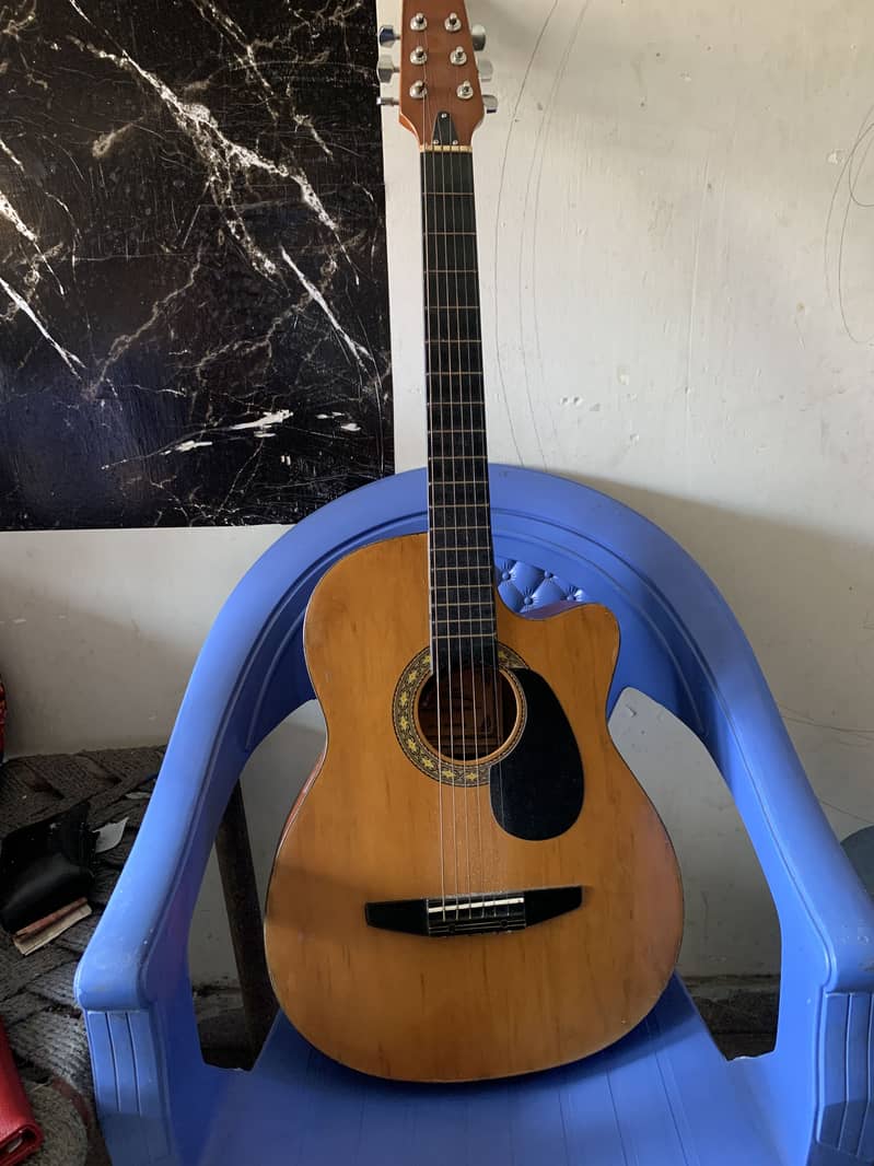 Professional  guitar 1