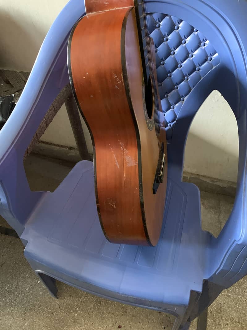 Professional  guitar 3