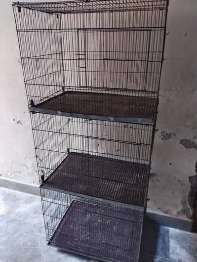 parrots cage
