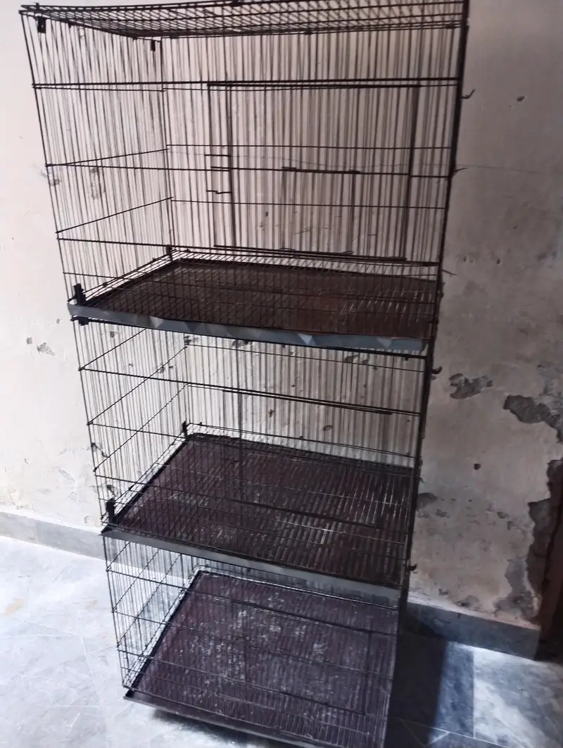 parrots cage — photo 2