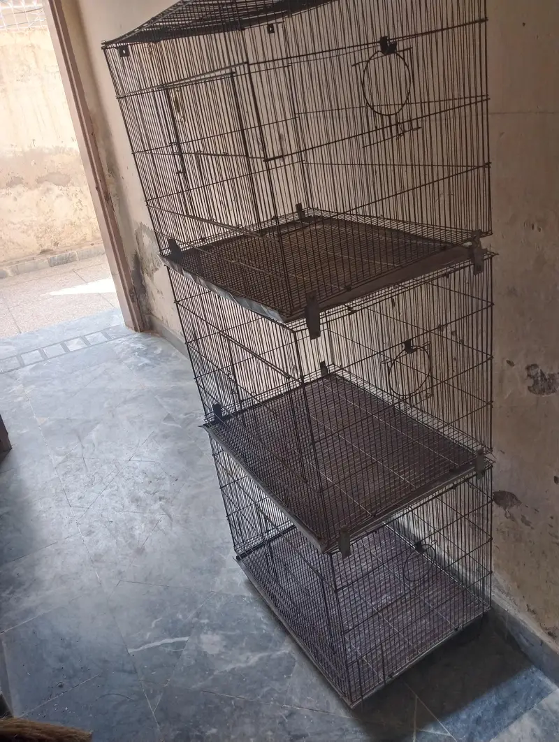 parrots cage — photo 3