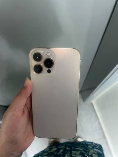 Apple iPhone 13 Pro Max