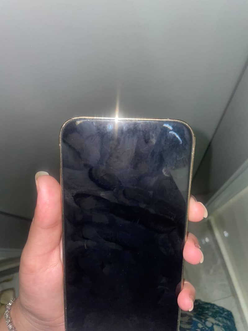 Apple iPhone 13 Pro Max 1