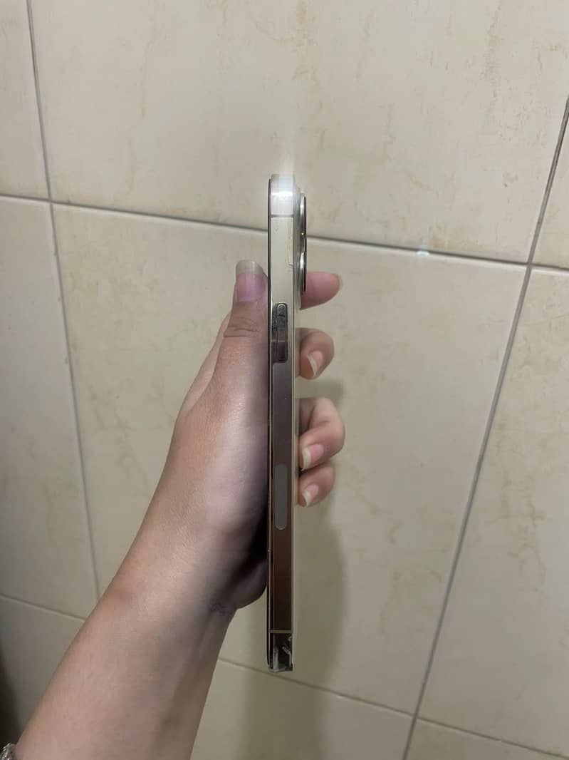 Apple iPhone 13 Pro Max 2