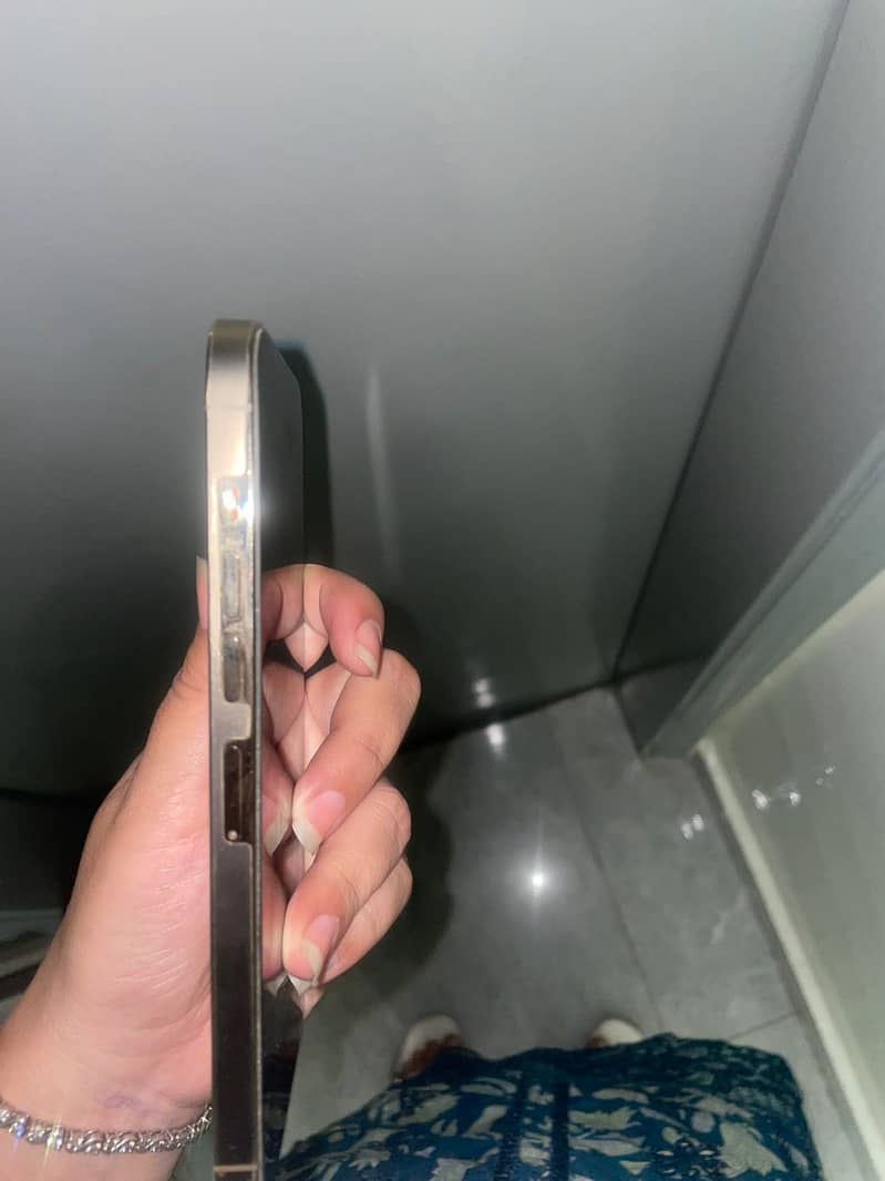 Apple iPhone 13 Pro Max 3