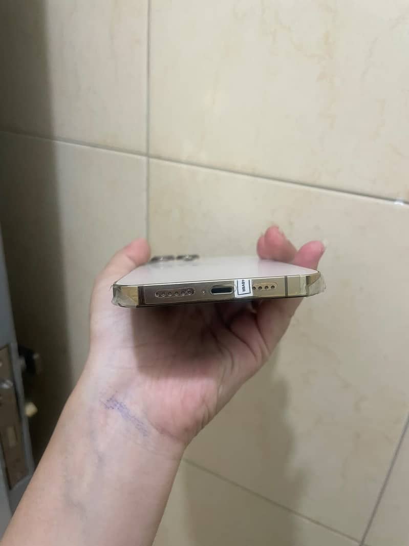 Apple iPhone 13 Pro Max 5
