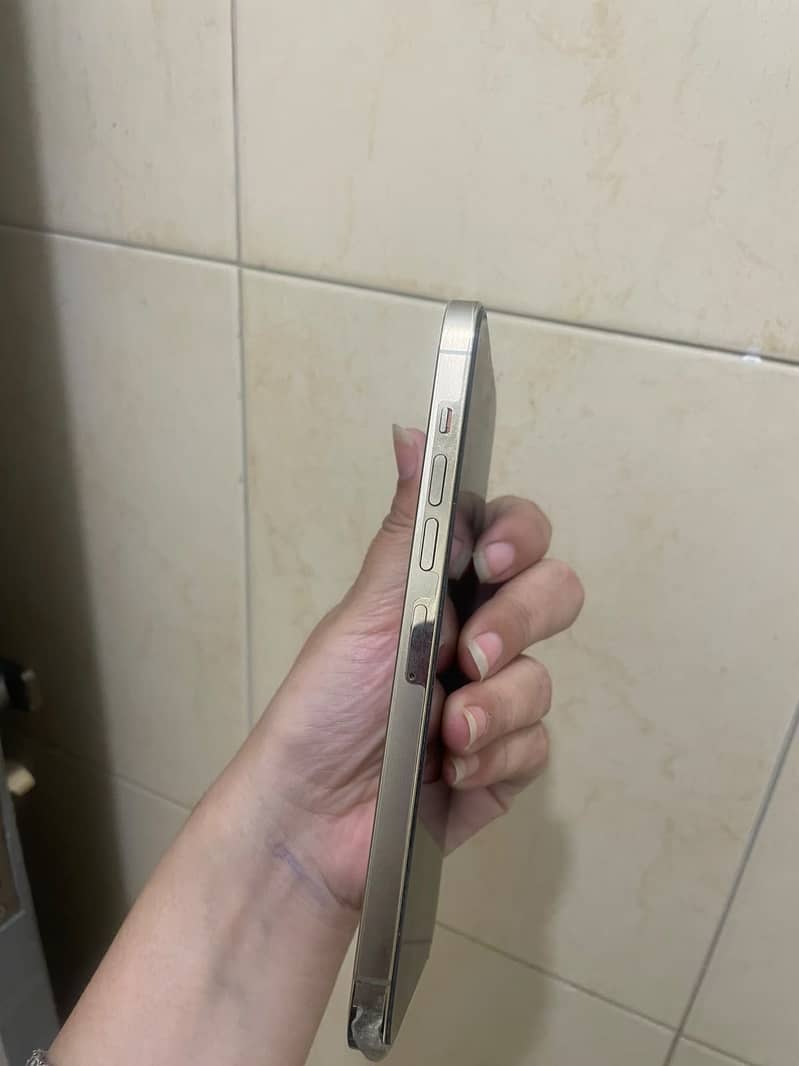 Apple iPhone 13 Pro Max 6