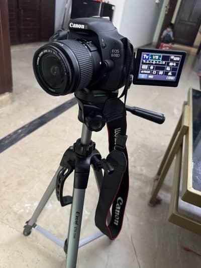 Video and pictures