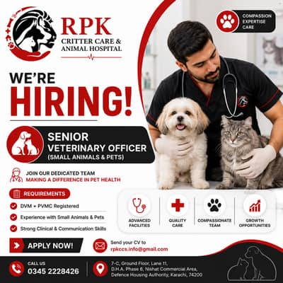 Veterinary Doctor / Surgeon / Physician /   (DVM)