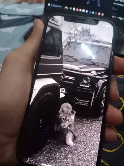 Apple iPhone 12
