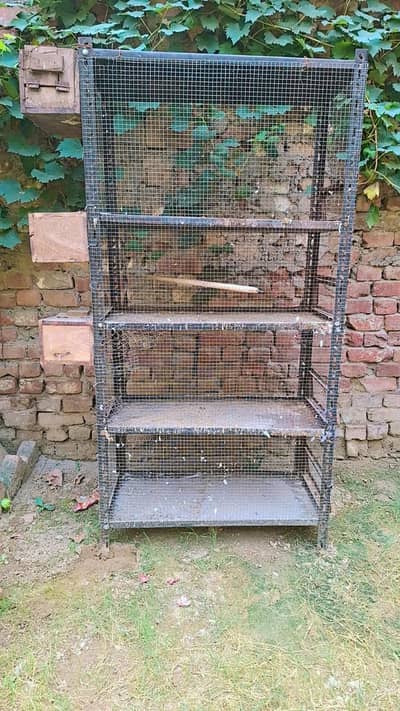 solid cage