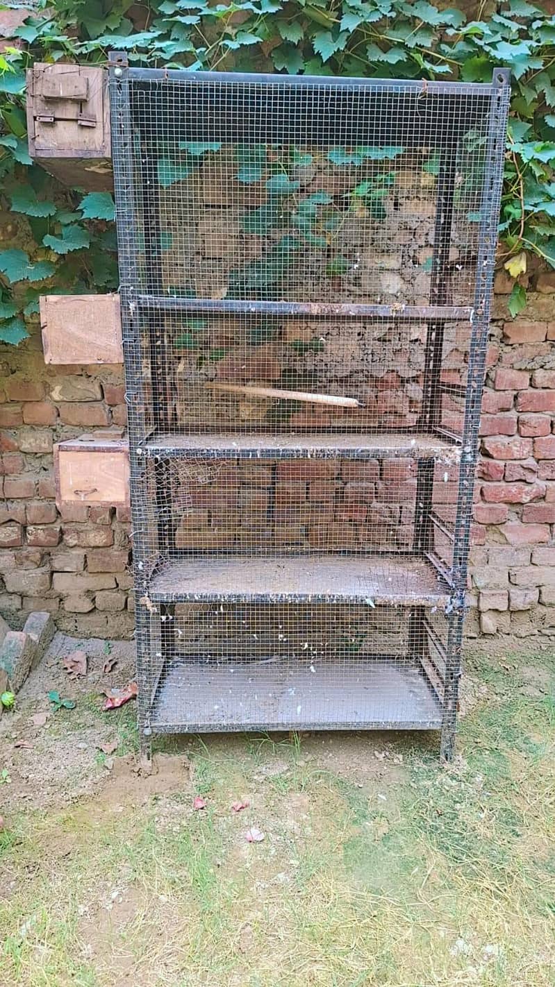 solid cage 0