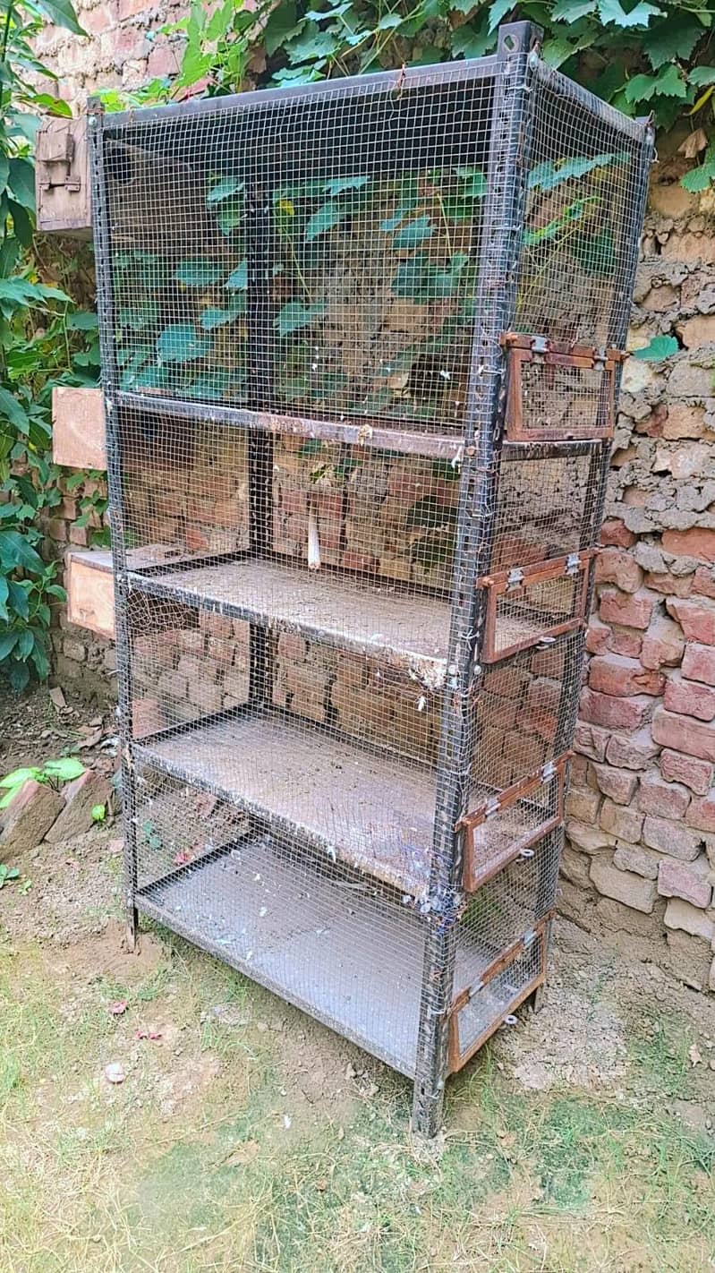 solid cage 1