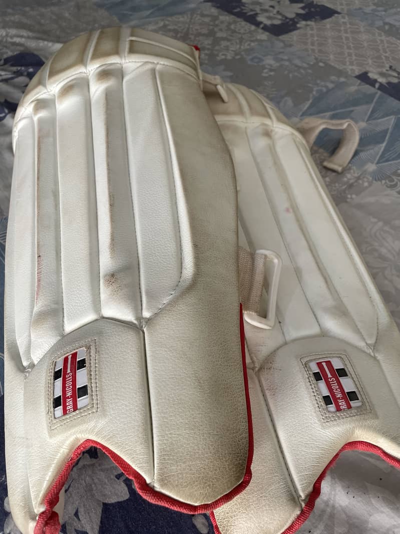 Cricket kit 2