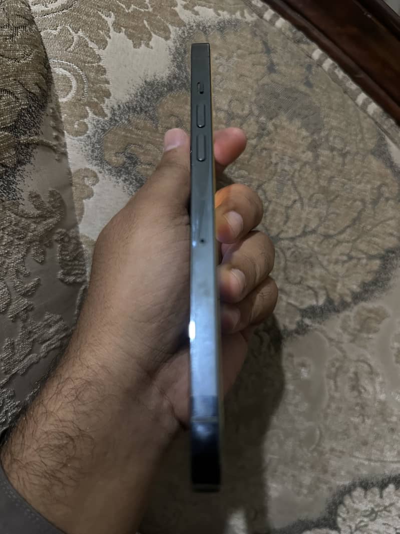 Apple iPhone 12 Pro Max 1