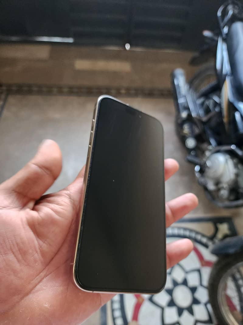 Apple iPhone 16 Pro Max 1