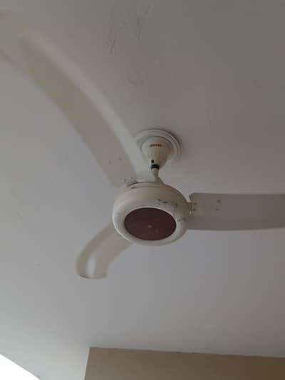 Royal Ceiling Fans