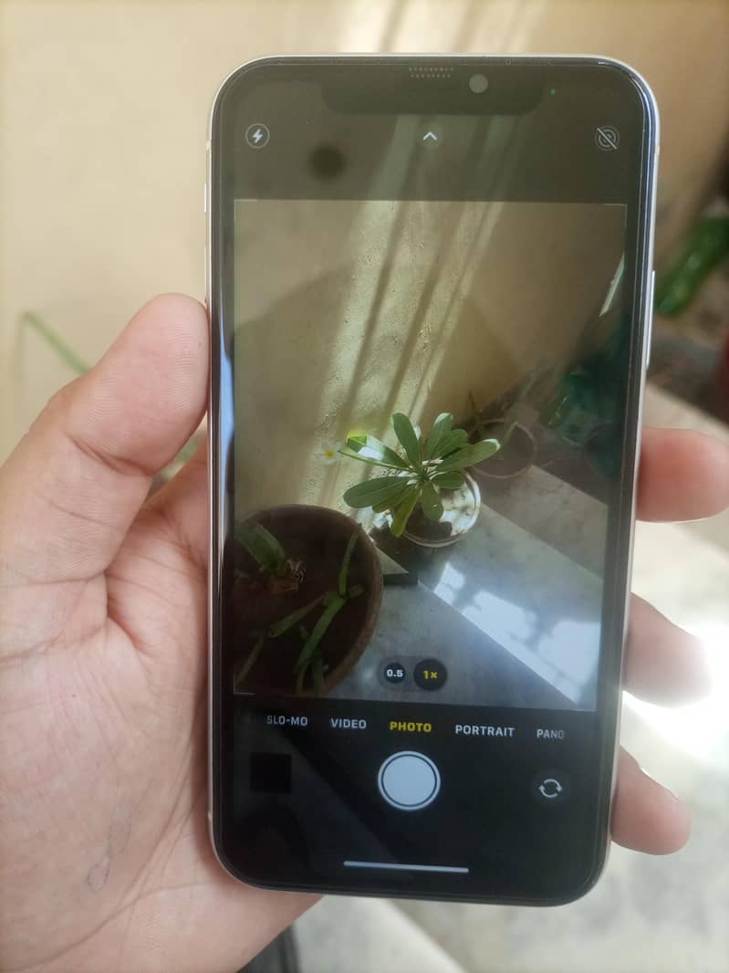 Apple iPhone 11 1