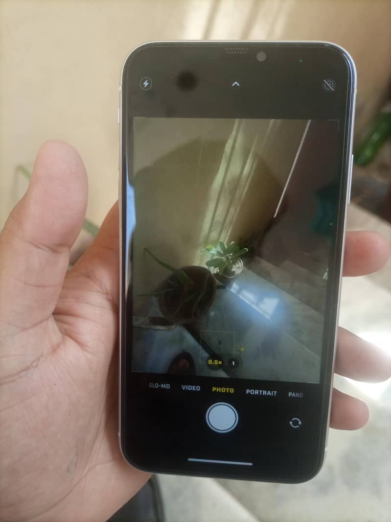 Apple iPhone 11 2