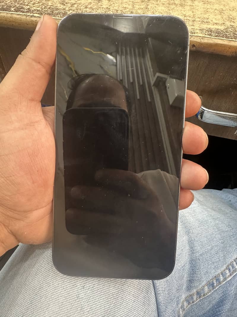 Apple iPhone 13 Pro Max 1